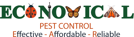 Economical Pest Control
